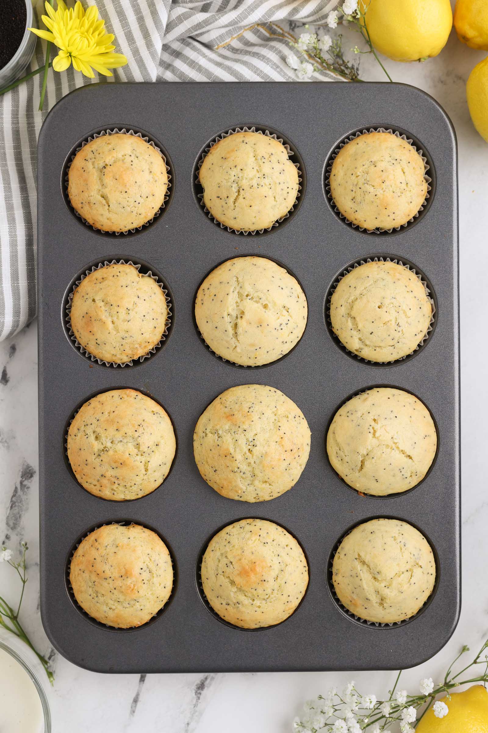 Baked muffins